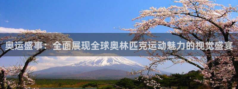 奥运盛事：全面展现全球奥林匹克运动魅力的视觉盛宴