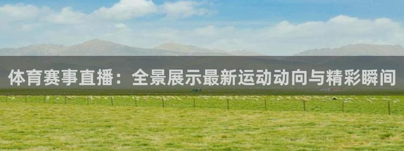 体育赛事直播：全景展示最新运动动向与精彩瞬间