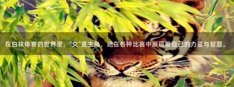 在白袜体育的世界里，\