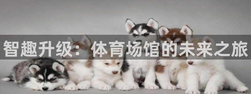 智趣升级：体育场馆的未来之旅