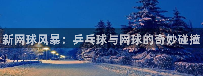 新网球风暴：乒乓球与网球的奇妙碰撞