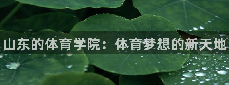 直播鲸鱼