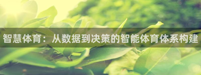 鲸鱼app官网下载安装：智慧体育：从数据到决策的智能体育体系构建