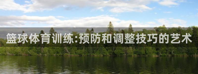 鲸鱼风筝
