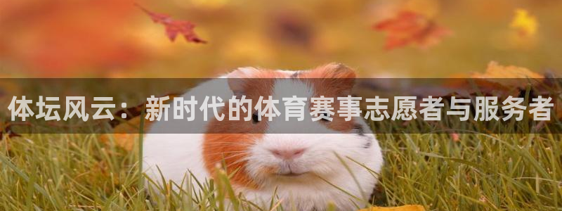 nba鲸鱼直播：体坛风云：新时代的体育赛事志愿者与服务者