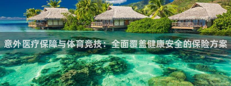 海豚鲸鱼