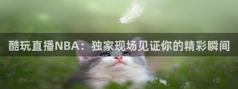 鲸鱼购买：酷玩直播NBA：独家现场见证你的精彩瞬间