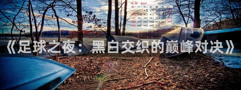 鲸鱼体育五大联赛直播