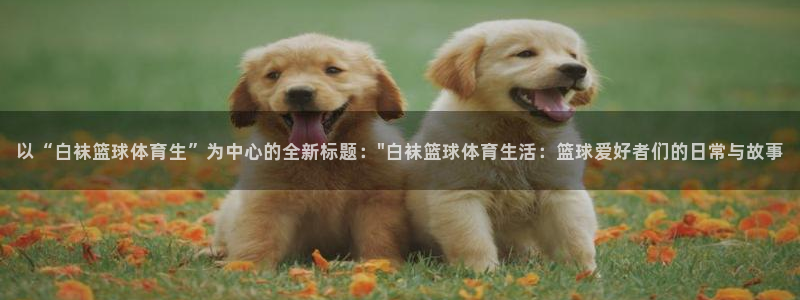 鲸鱼电竞：以“白袜篮球体育生”为中心的全新标题：\