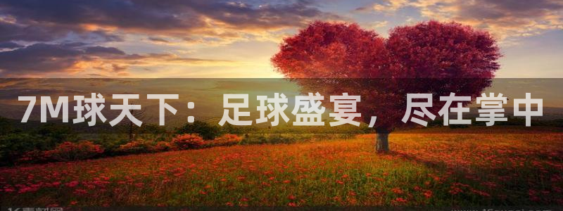 蝴蝶与鲸鱼 小说：7M球天下：足球盛宴，尽在掌中