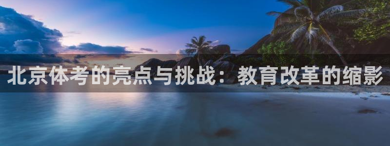 鲸鱼伴