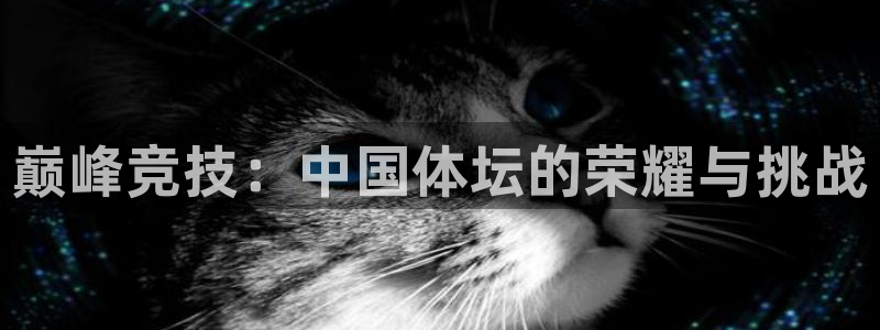鲸鱼app