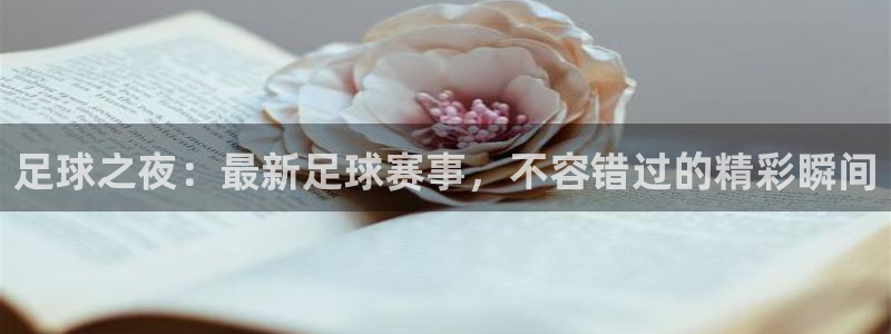 鲸鱼官方版下载