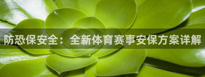 alice 鲸鱼：防恐保安全：全新体育赛事安保方案详解