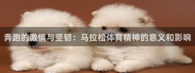 鲸鱼呼吸：奔跑的激情与坚韧：马拉松体育精